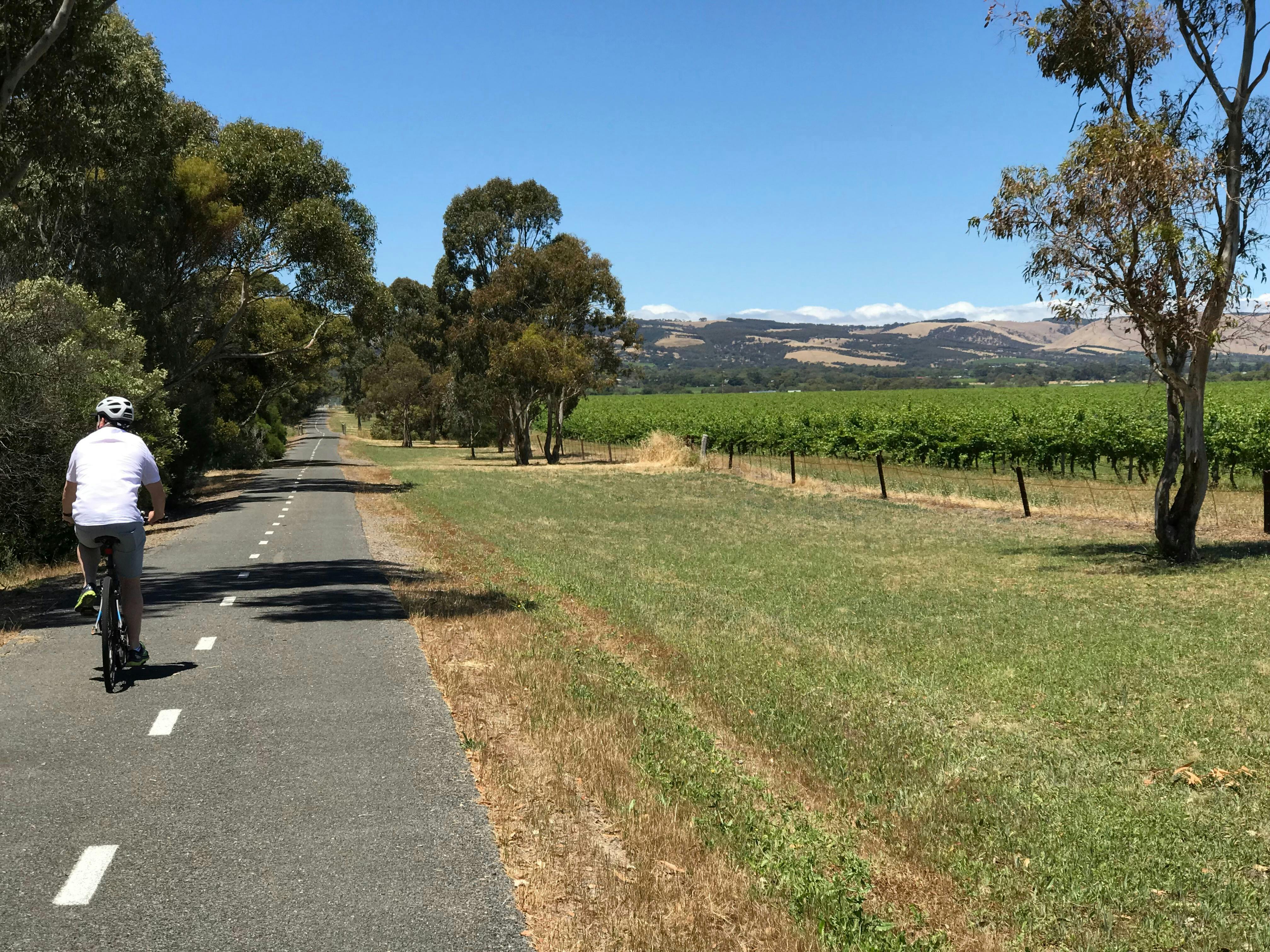 Cycling in McLaren Vale