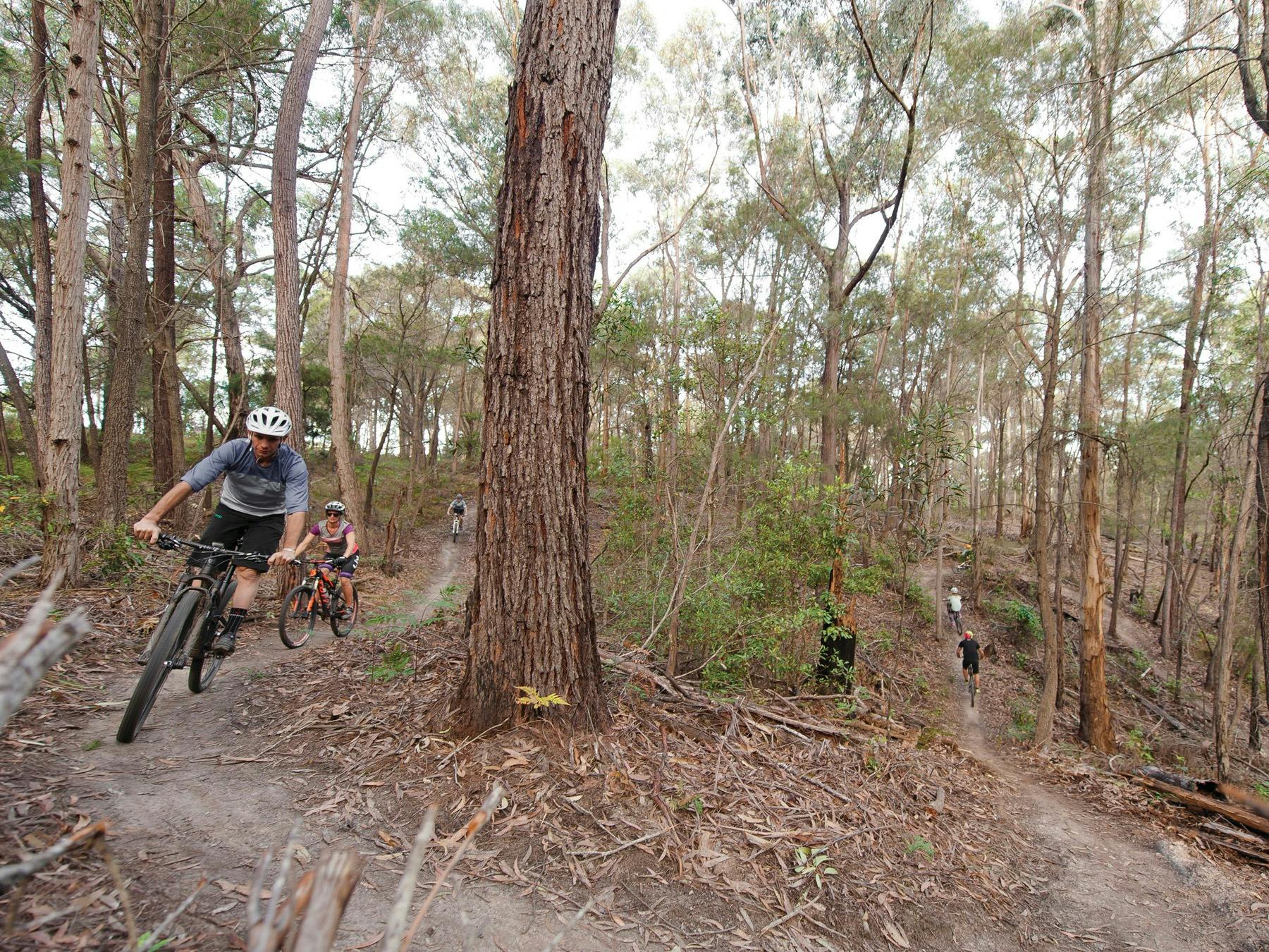 Family enjoying a day of riding on the 20km Bundadung Trail Network in Tathra