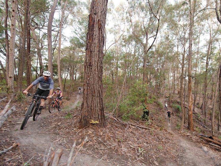 Family enjoying a day of riding on the 20km Bundadung Trail Network in Tathra