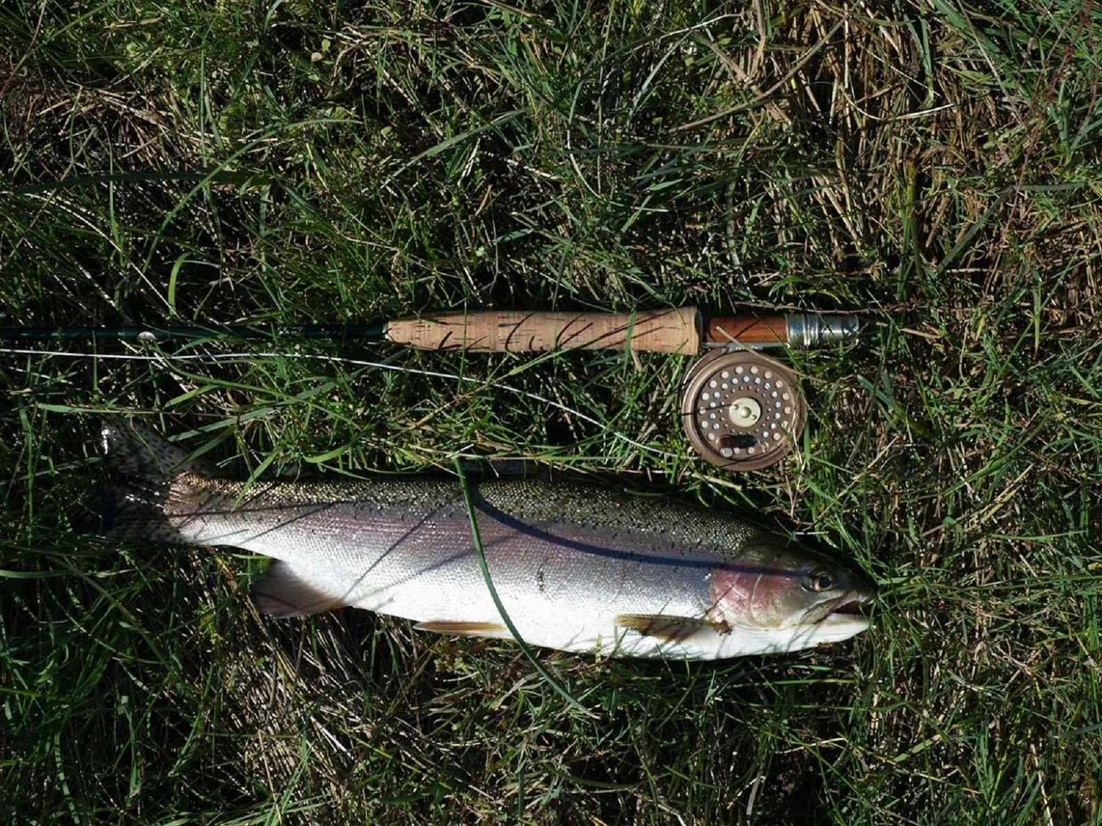 Snowy Monaro Fly Fishing