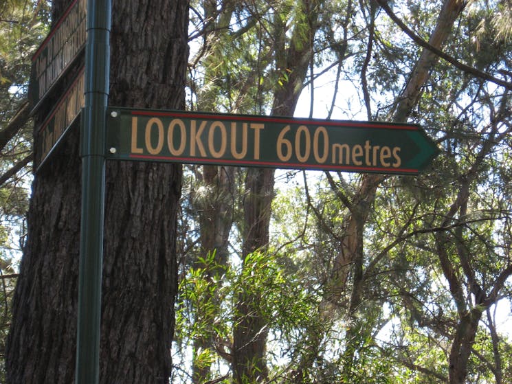 Nattai Gorge Lookout