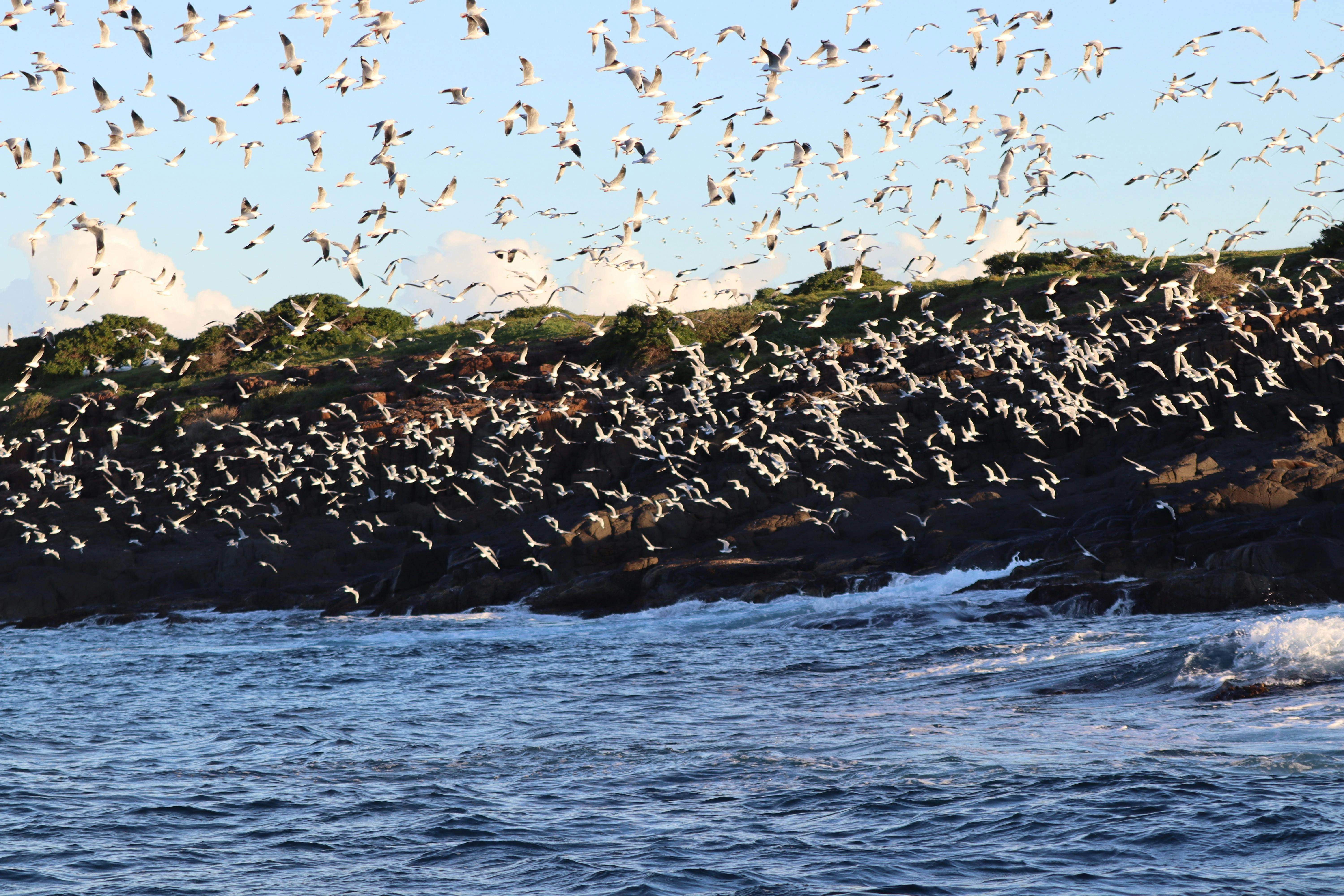 Five Islands Nature Reserve