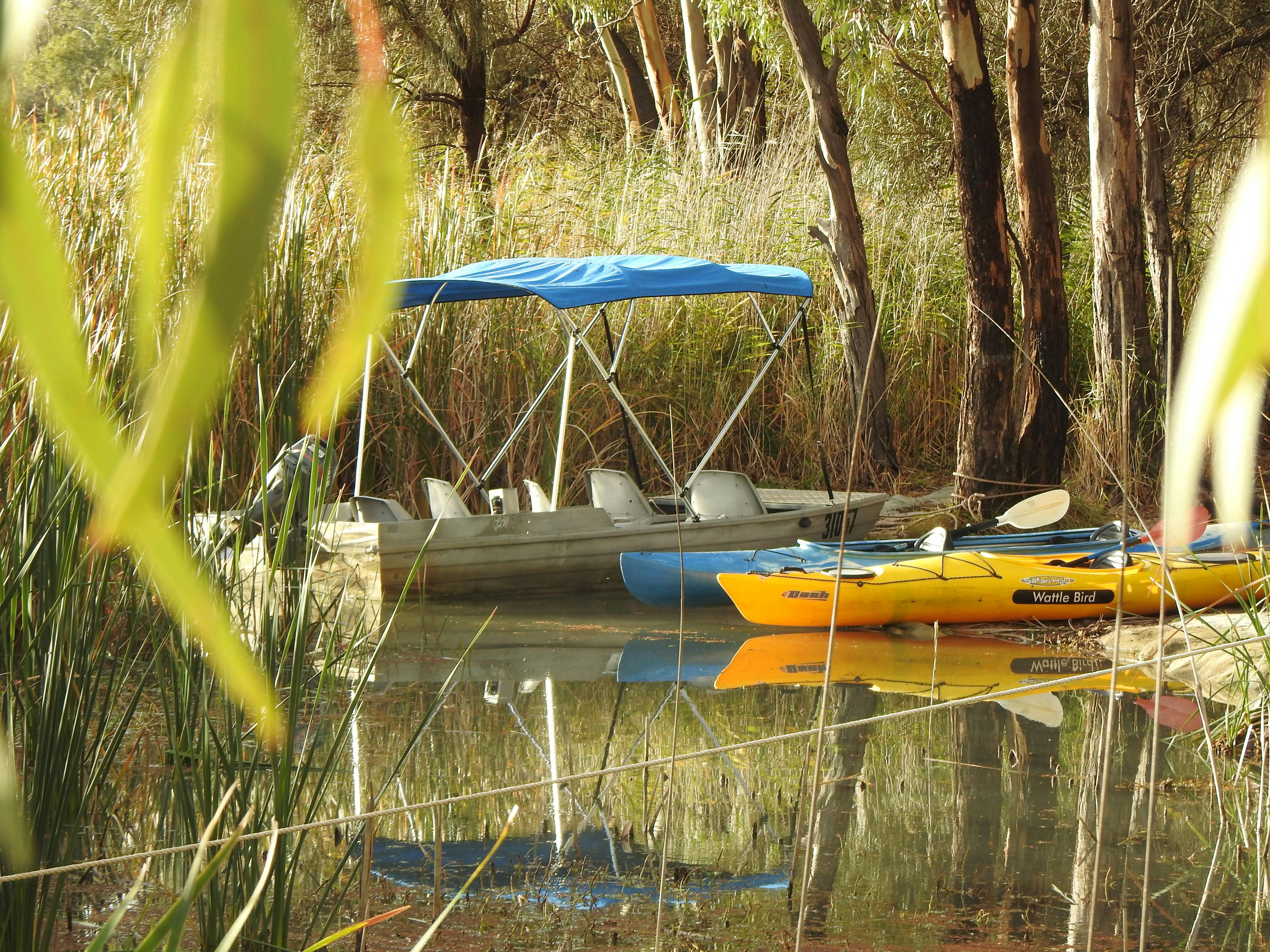 Dinghy & Kayak tours
