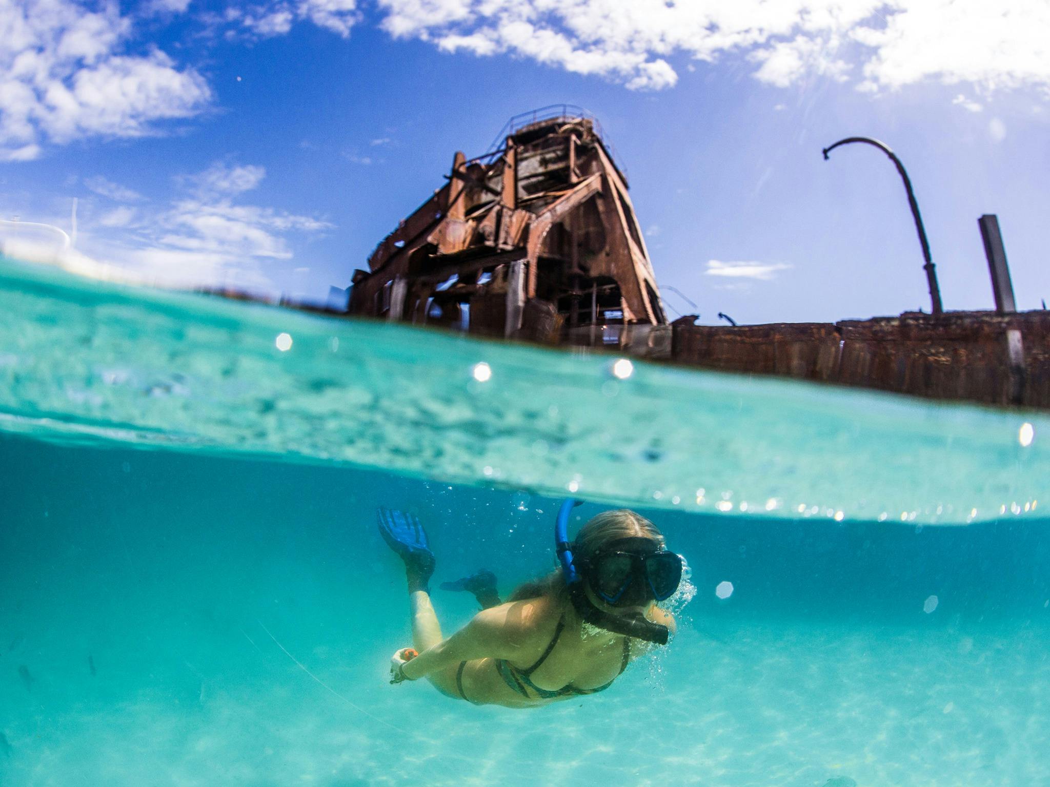 Tangalooma Snorkel the Wrecks