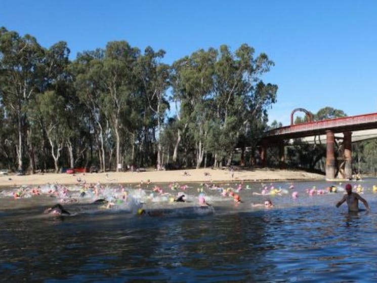 Participants starting their swim leg in the Murray River
