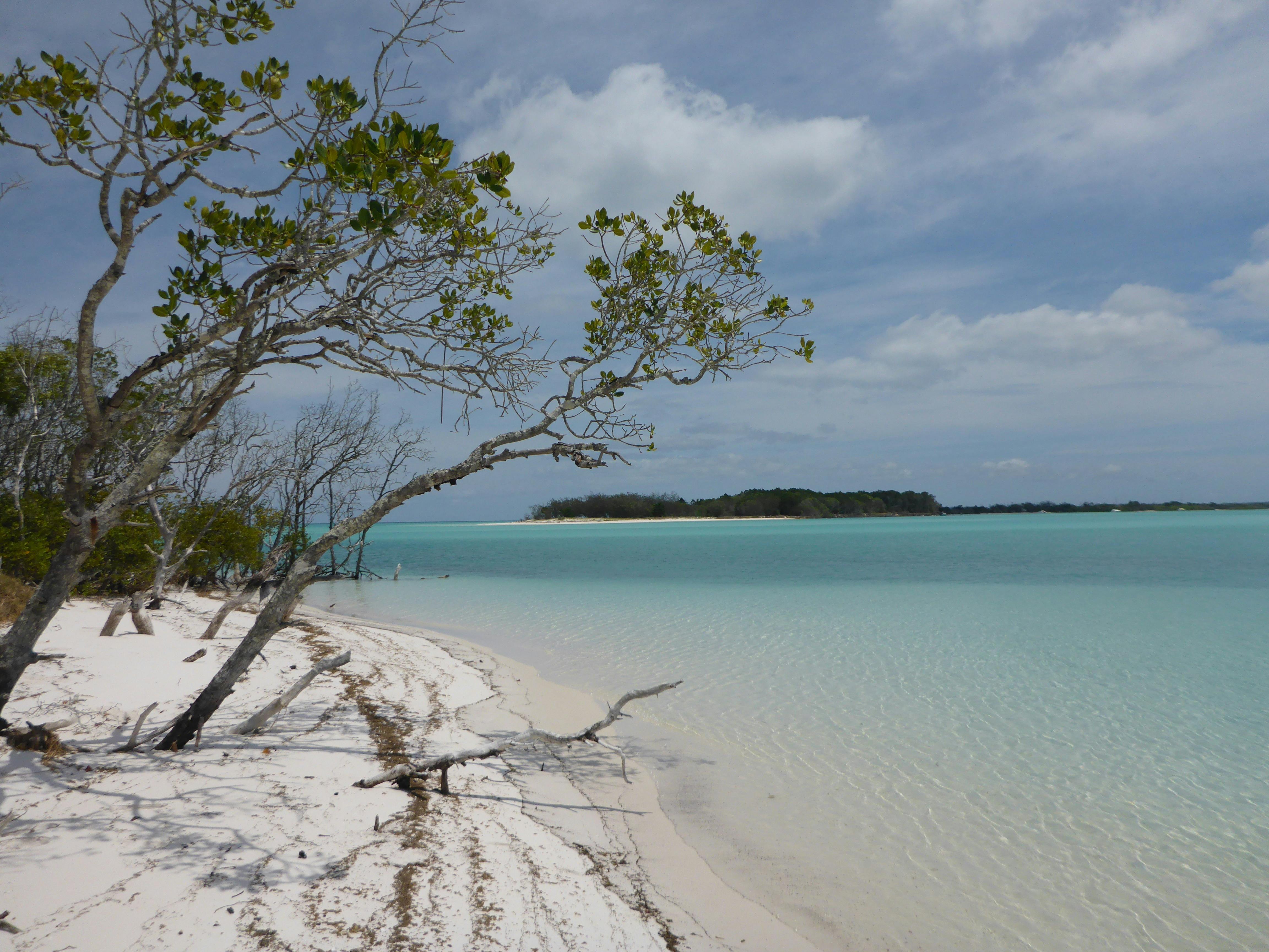 photo showing white sand lapped by clear blue water at Wathumba Creek Fraser Island
