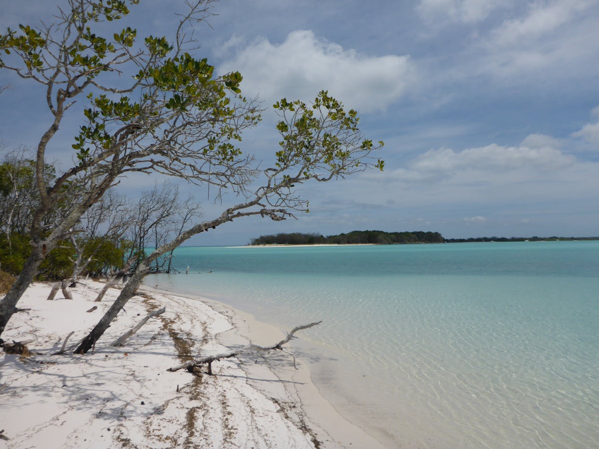 photo showing white sand lapped by clear blue water at Wathumba Creek Fraser Island