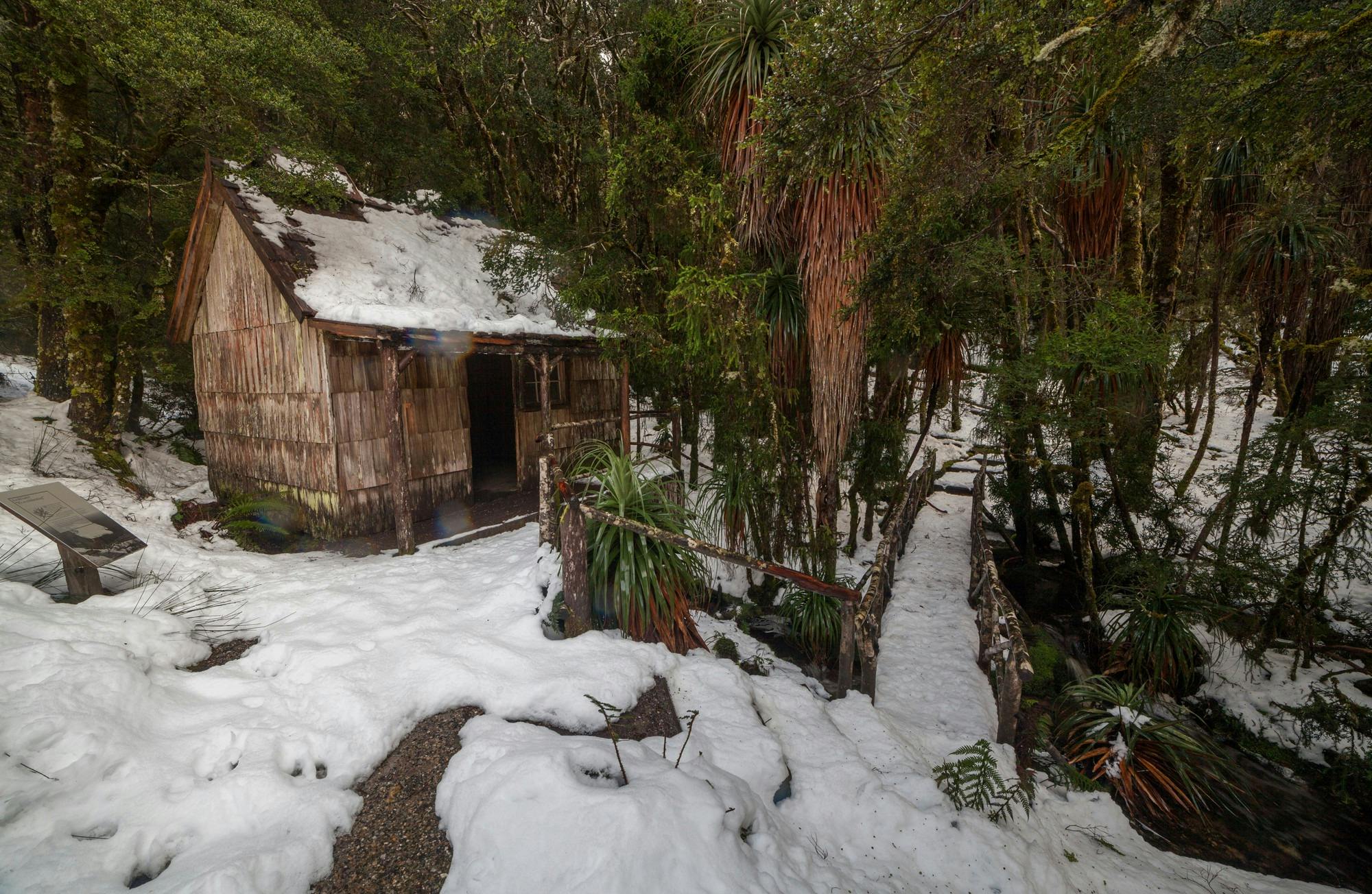 Weindorfers Forest Walk