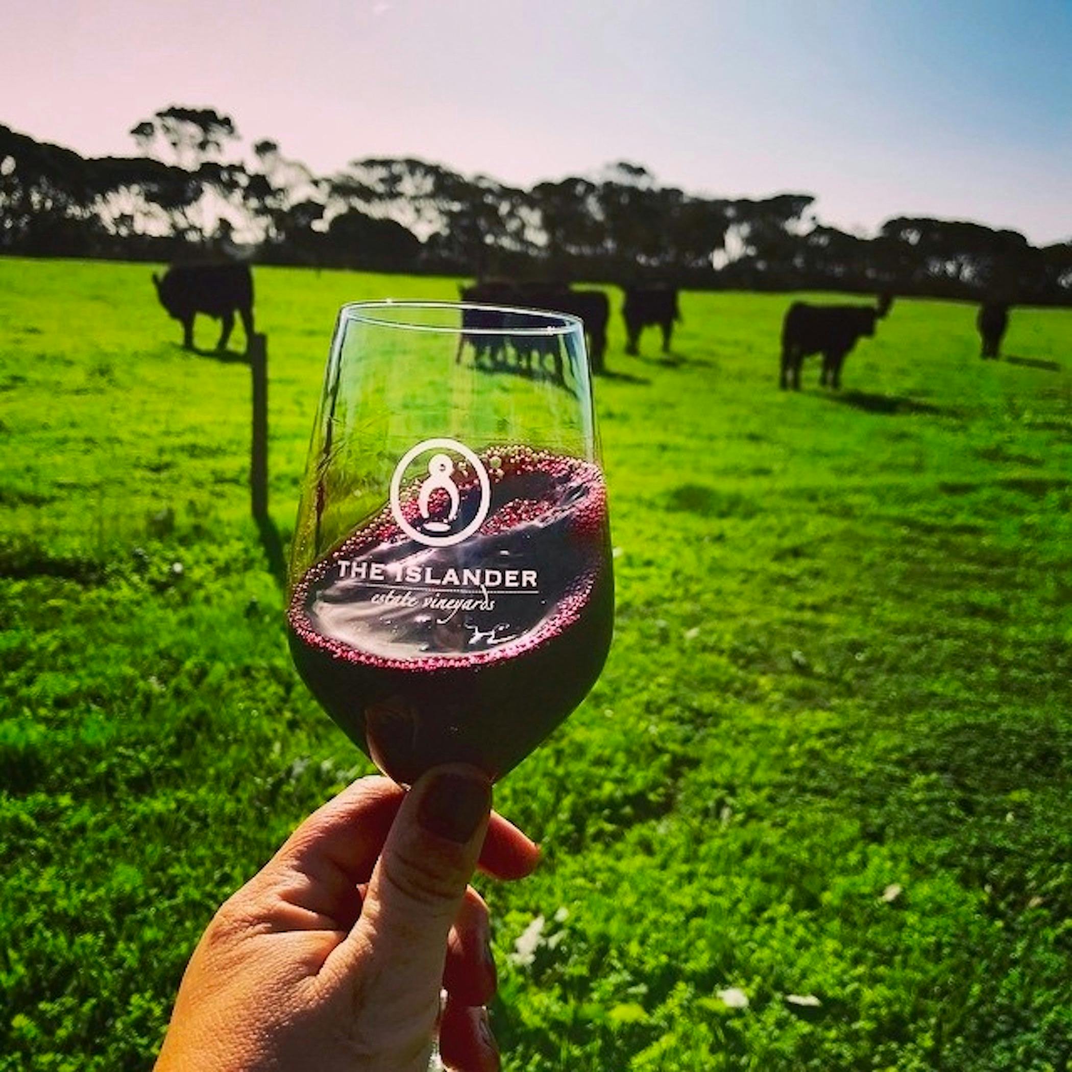 The Islander Estate Vineyards. Exceptional Kangaroo Island Tours.