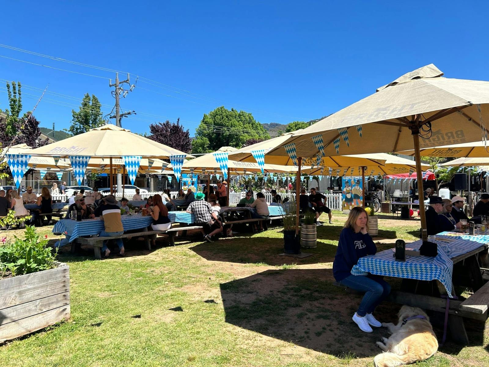 The Bright Brewery Paddock in beautiful spirng sunshine