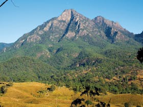 Mount Barney National Park