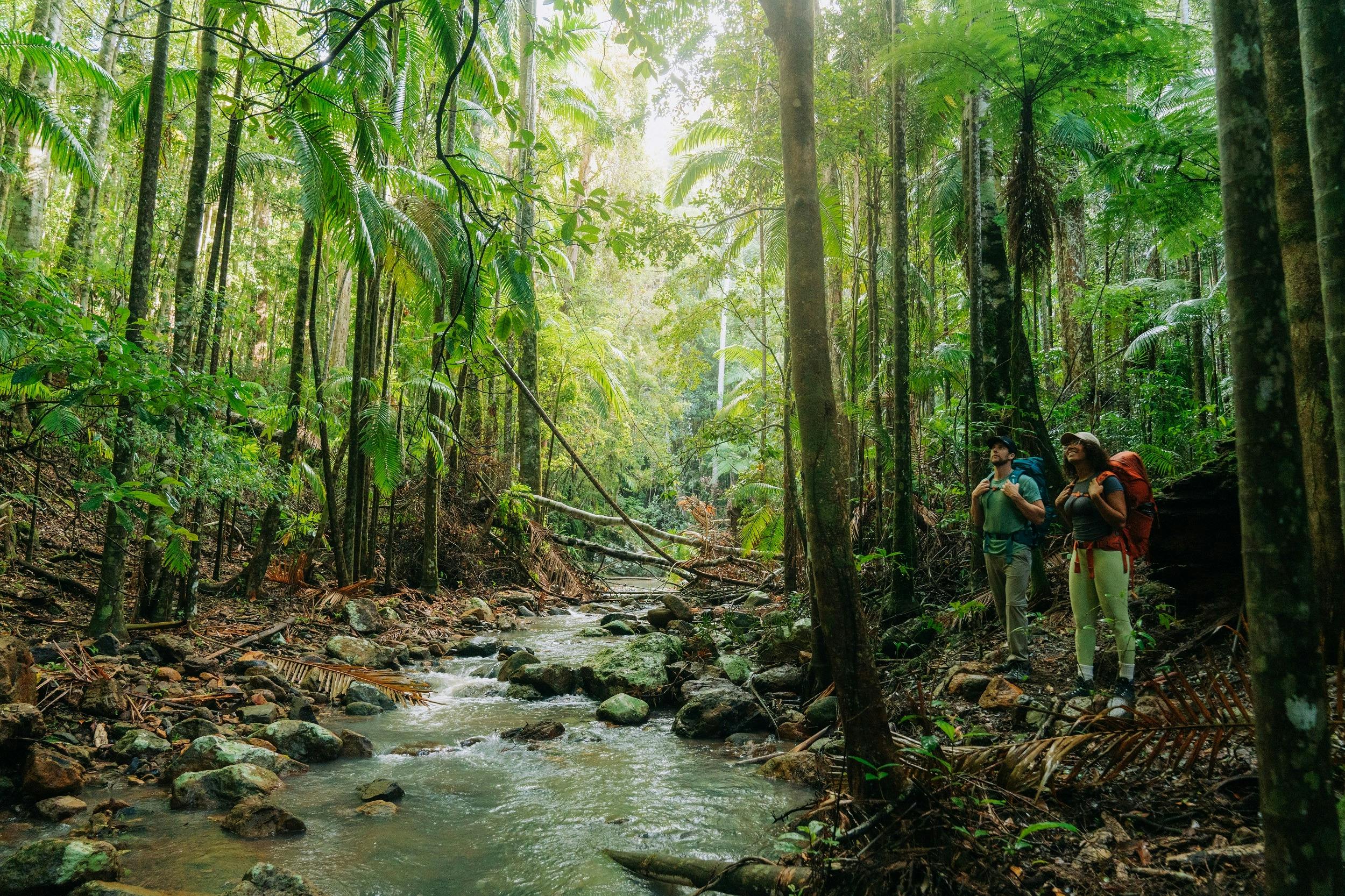 Two hikers walking beside a stream on Gidjuum Gulganyi Walk.