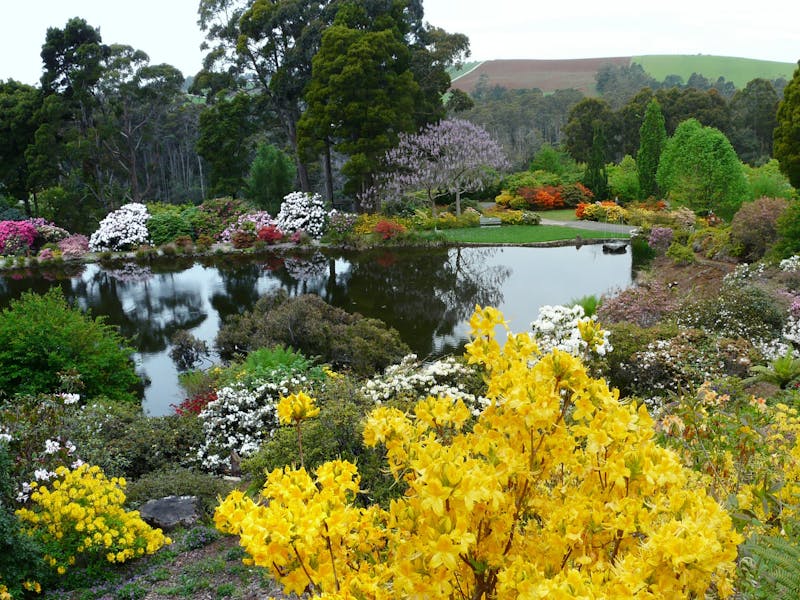 Emu Valley Rhododendron Garden