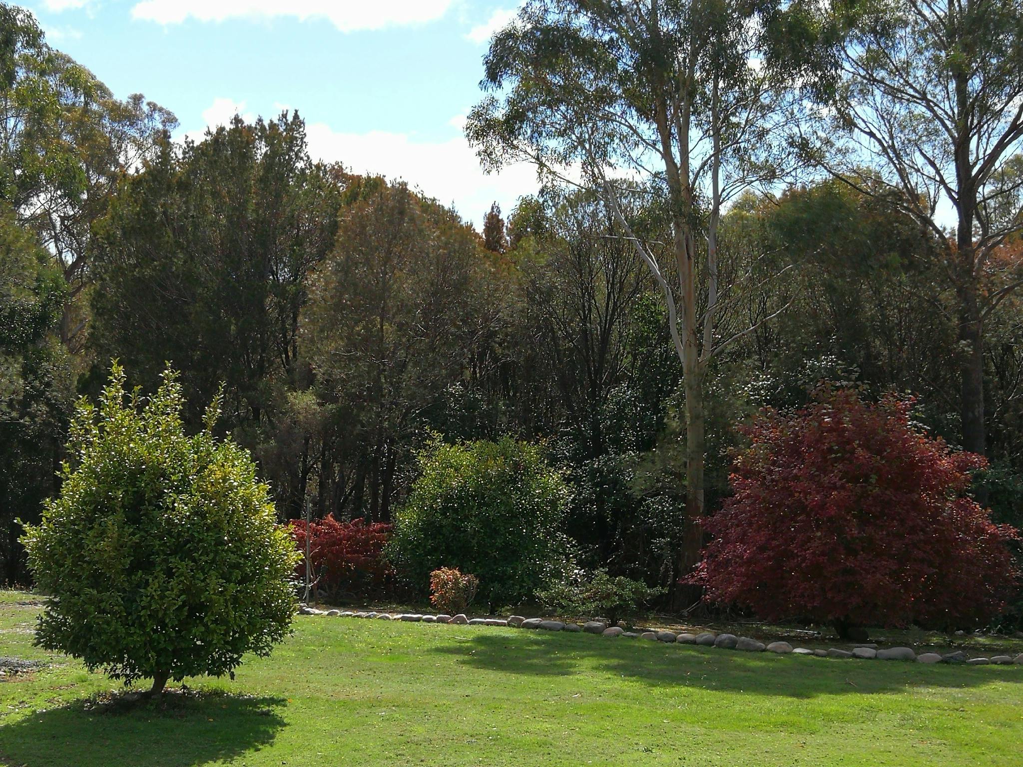 Hilltop Cottages - lawn area