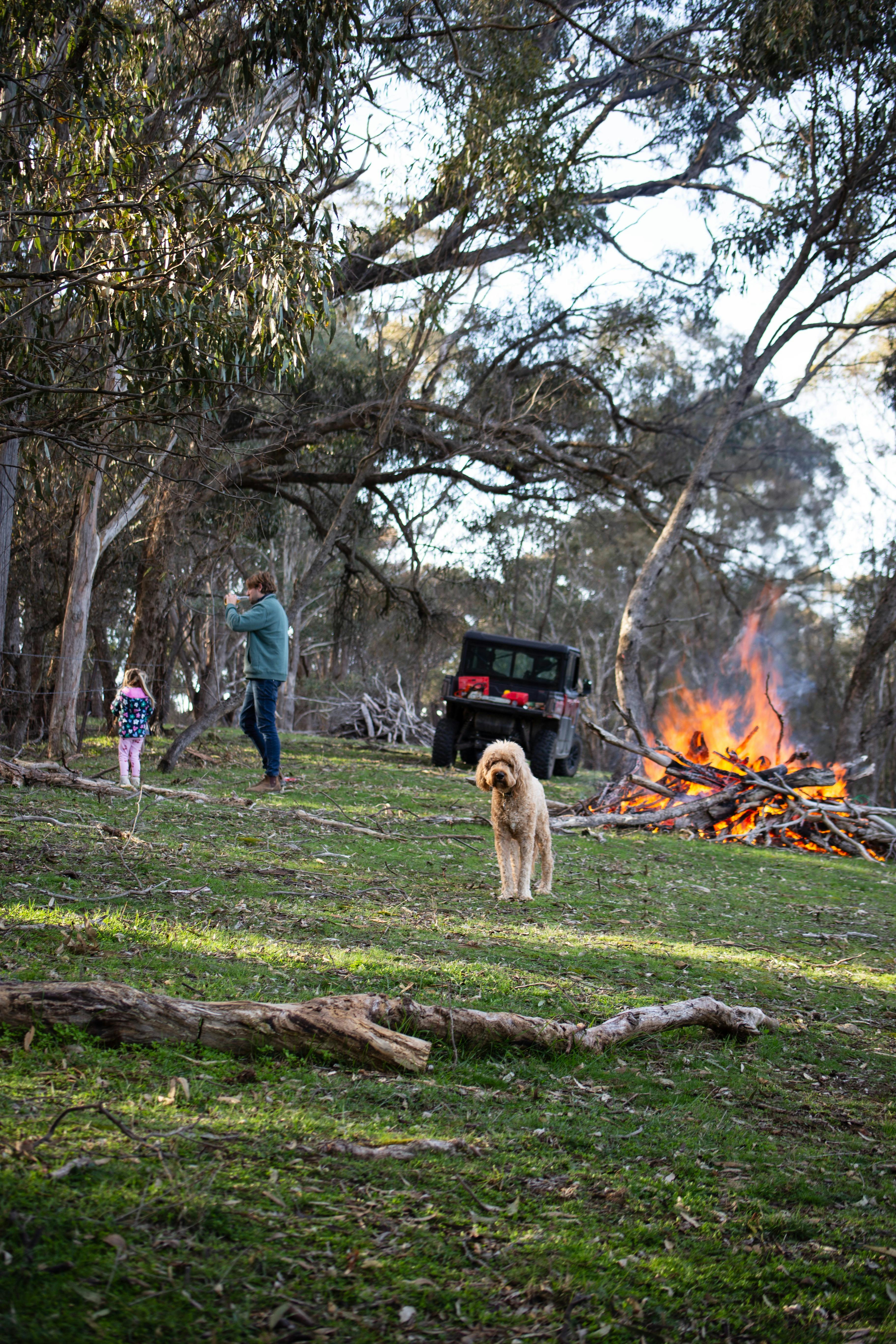 Dog and family around Bon Fire.