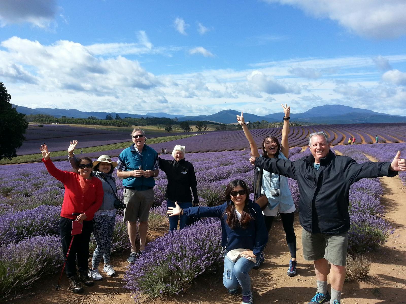 Bridestowe Lavender Farm