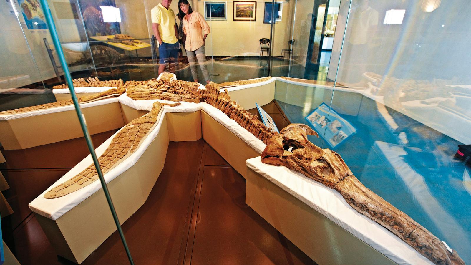 Kronosaurus Korner