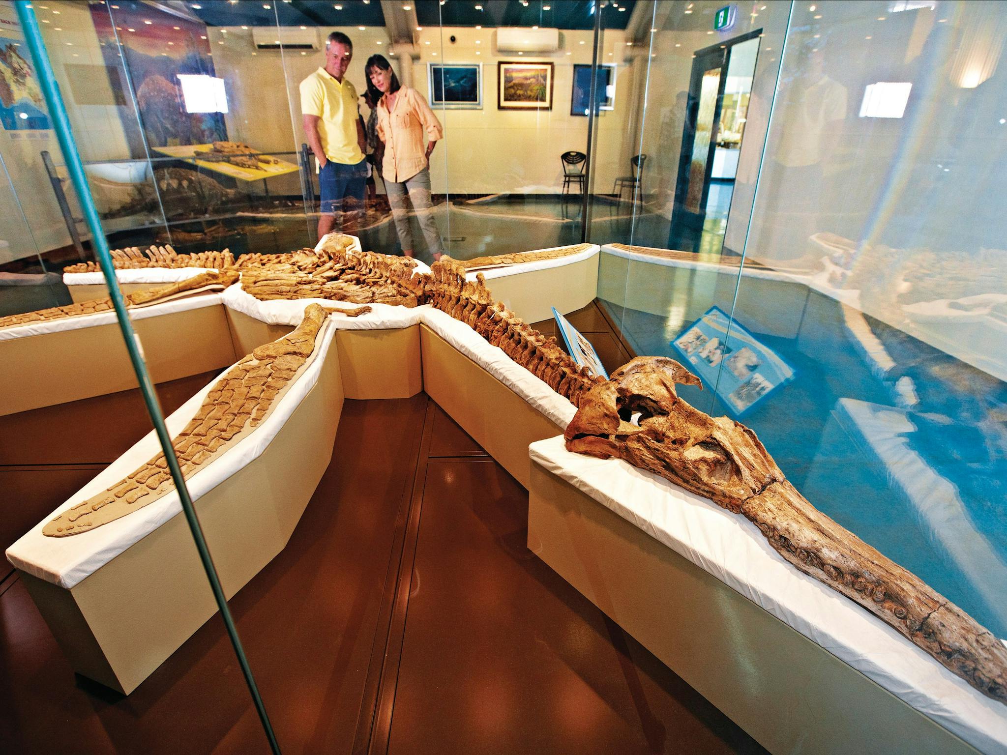 Kronosaurus Korner