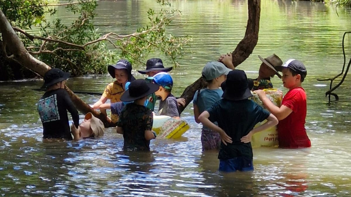 Children wading in creek at Birdwings Forest School Kids Holiday Nature Adventures Gold Coast Hinter