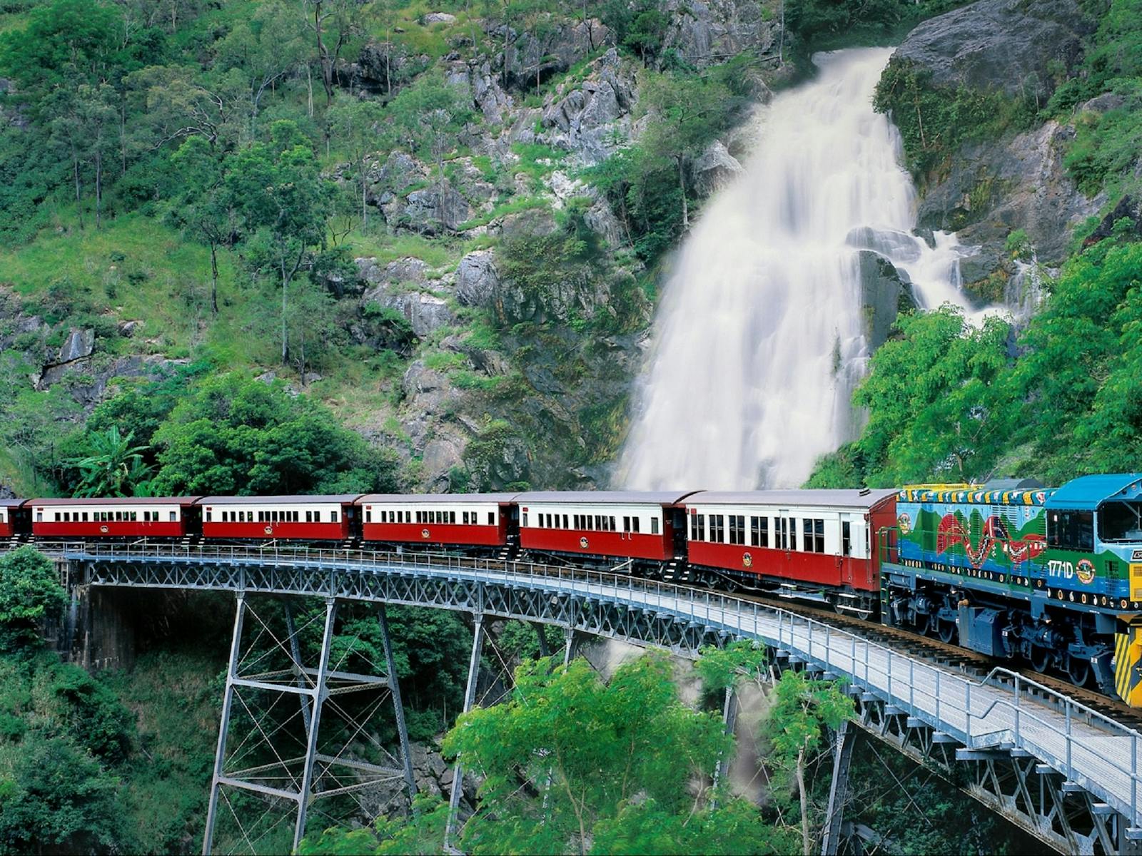 Brett's Kuranda  Day Tours
