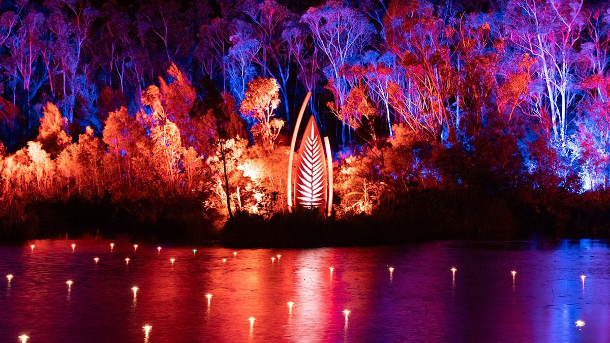 Light and sound show, set amongst the natural environment