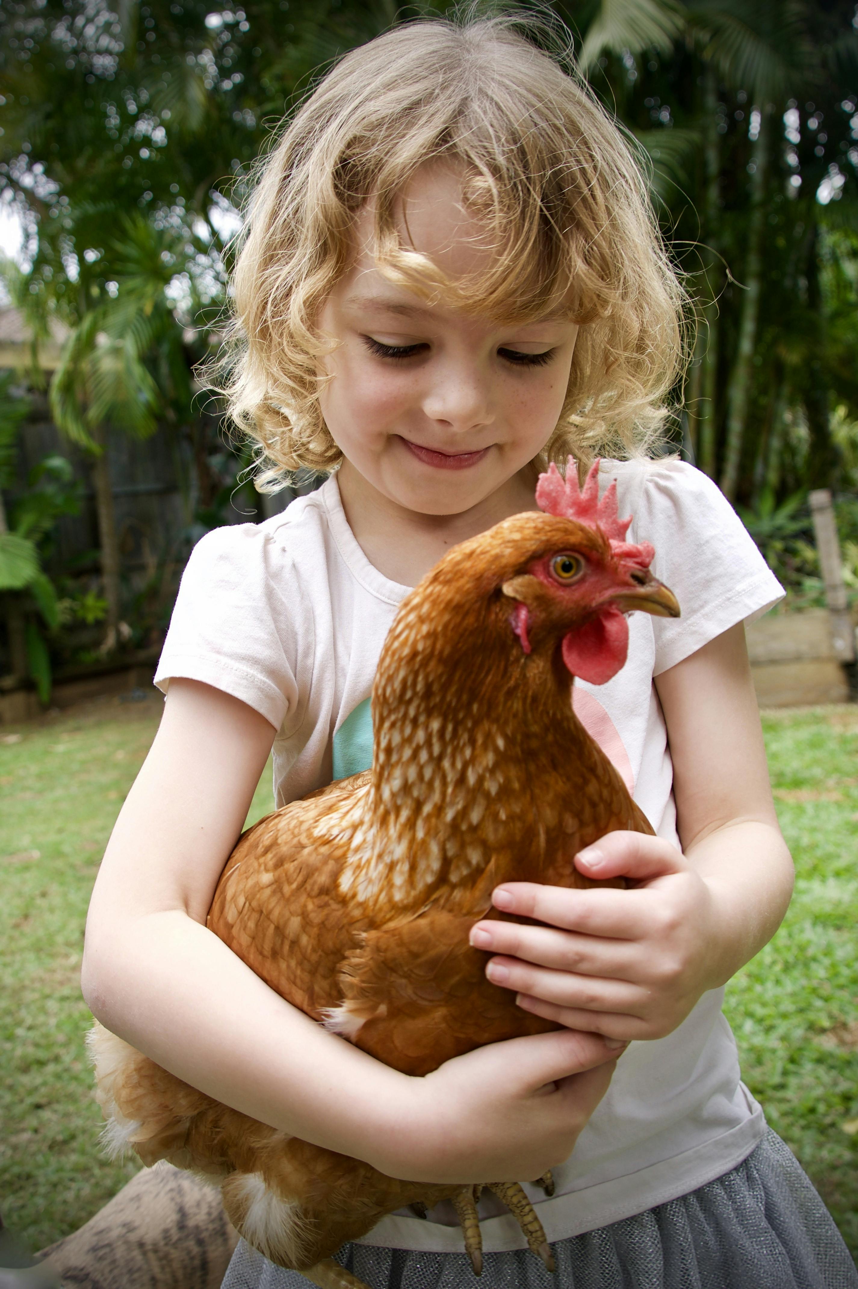 Child with hen