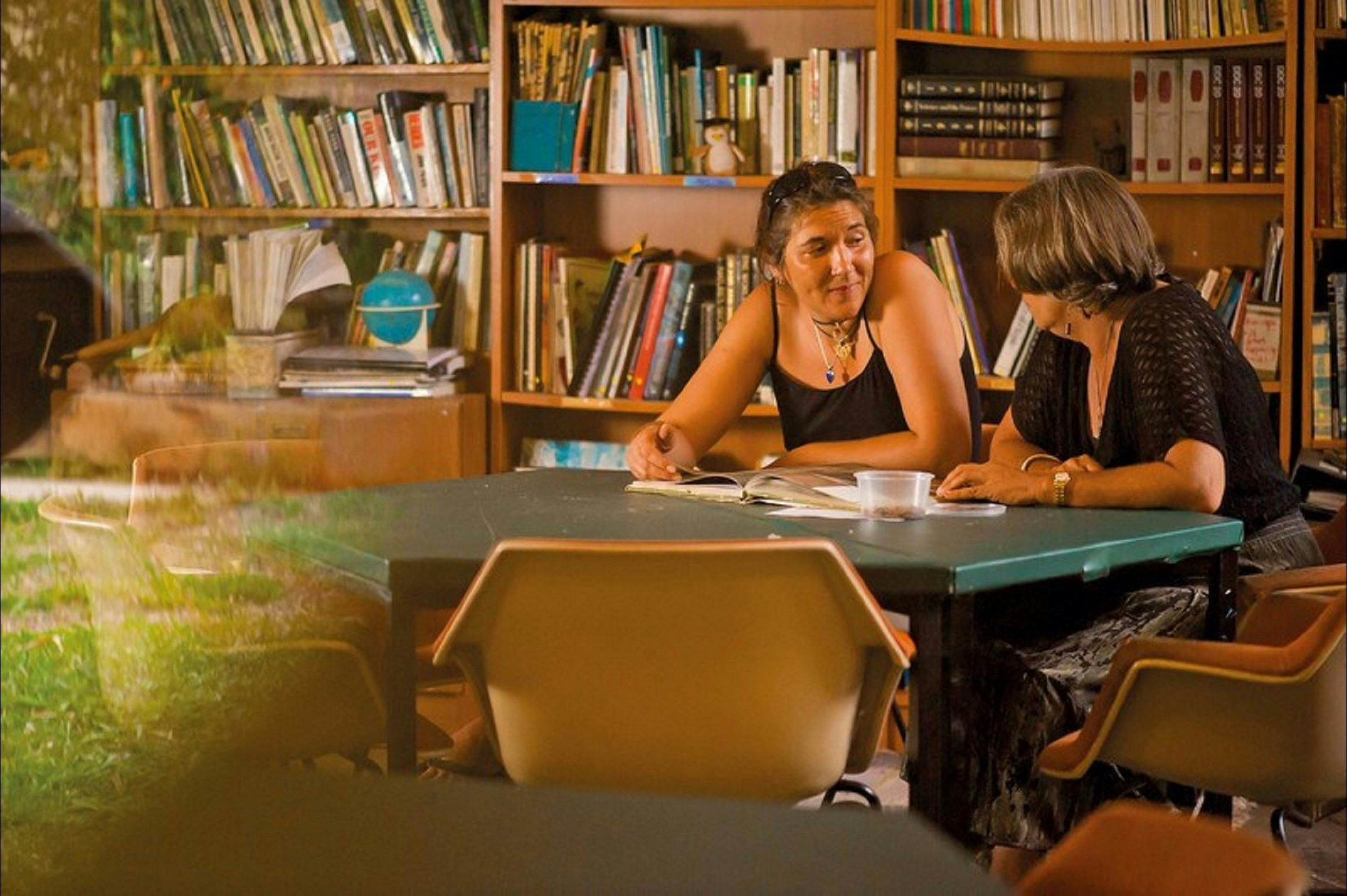 Djanbung Permaculture Gardens