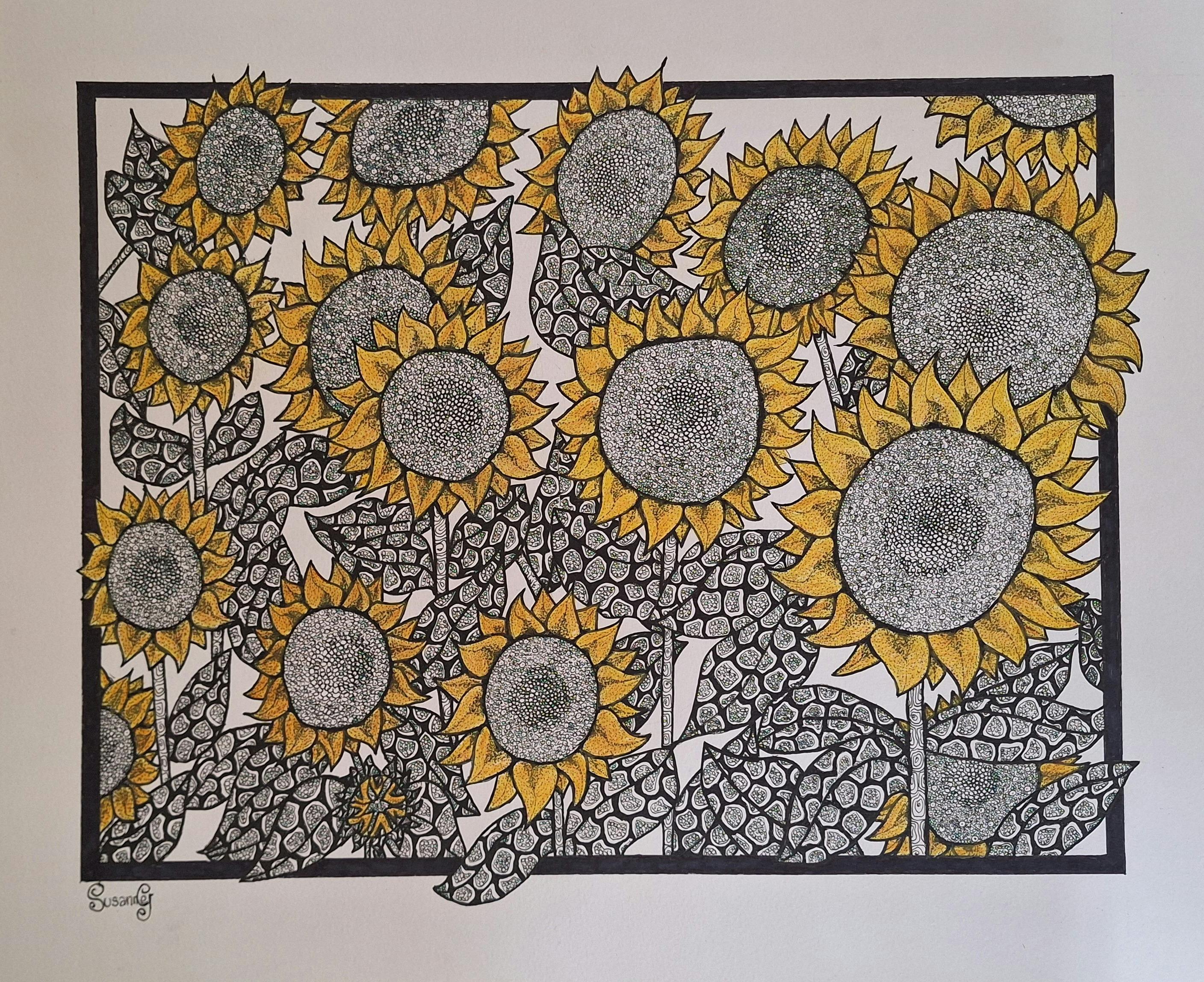 Multitude of sunflowers with patterned detail in black pen with yellow watercolour