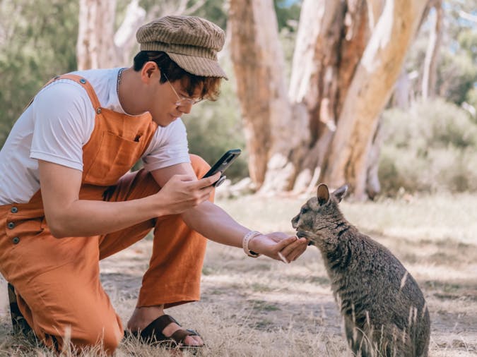 Cleland Wildlife Park Experiences