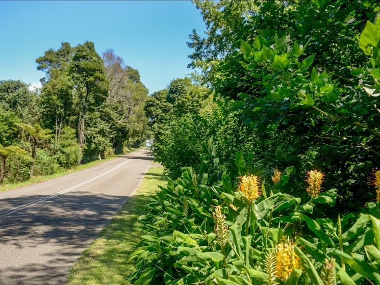 Broughton Vale