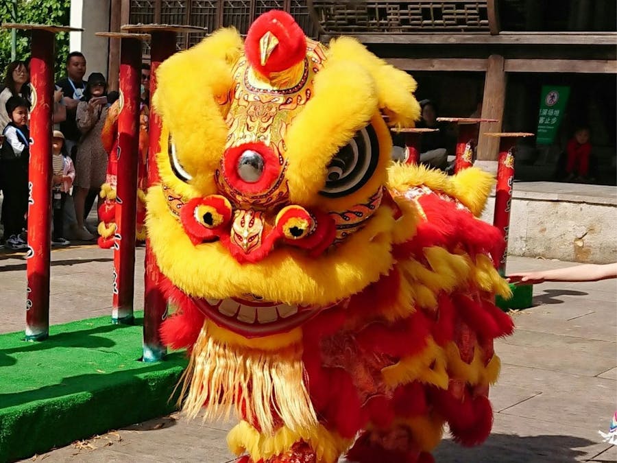 Chinese Lion Dancing