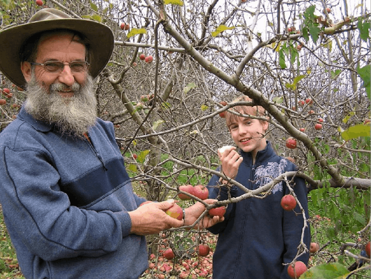 Pine Crest Orchard