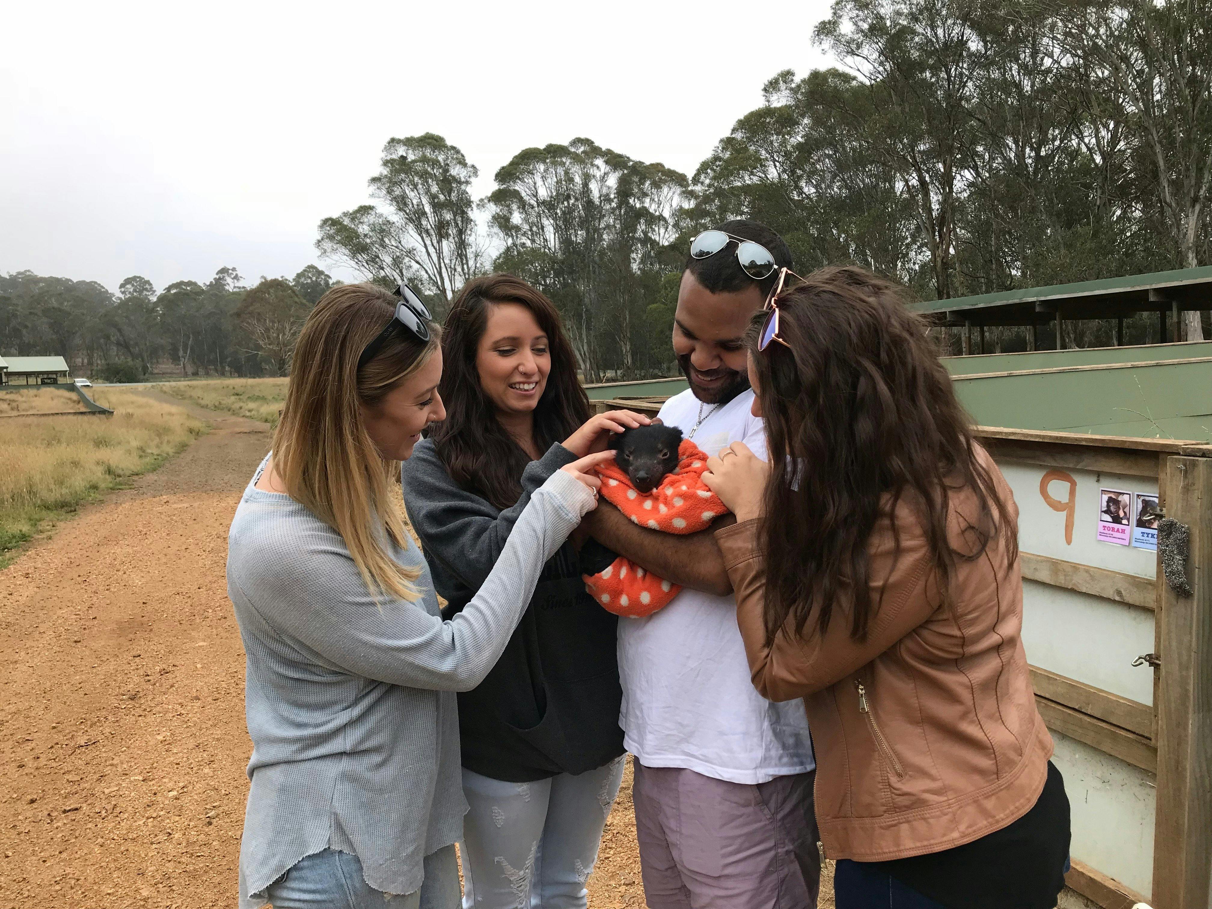 Devils in the Wild Tour