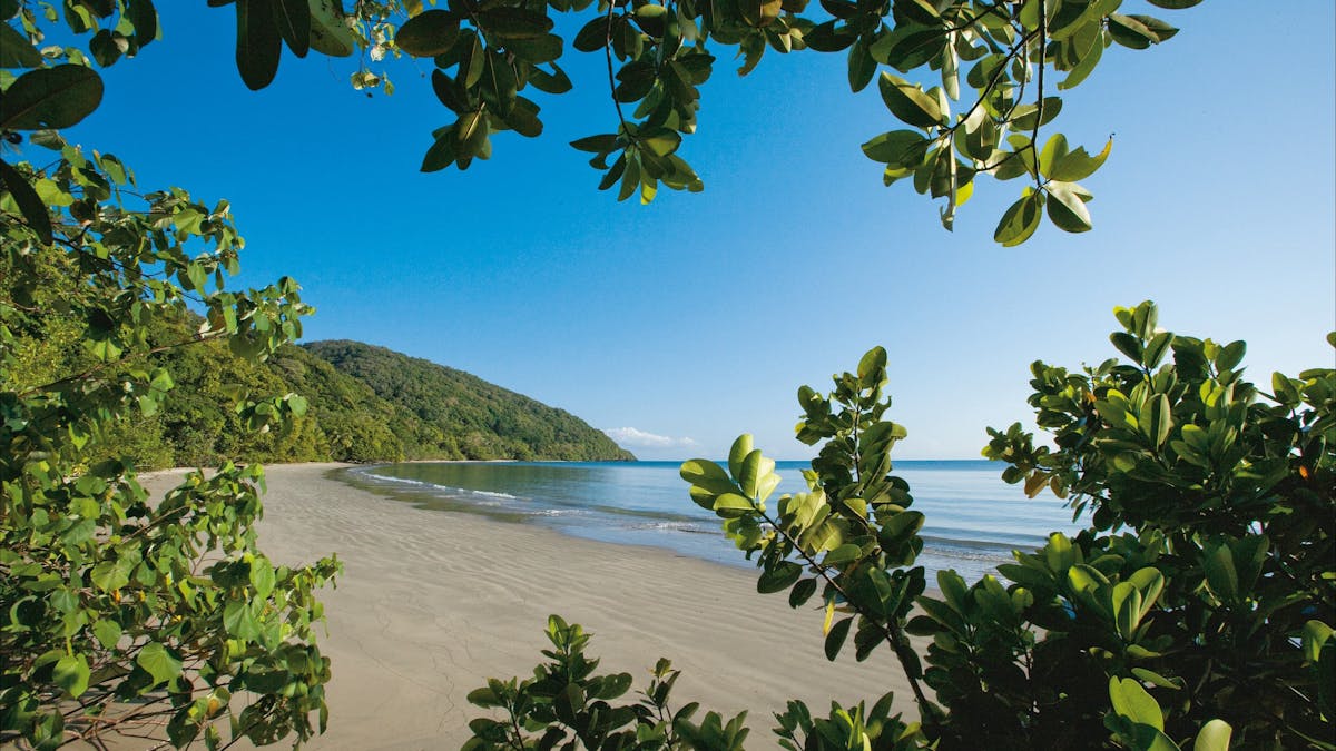 Rainforest meets beach Daintree National Park (CYPAL)