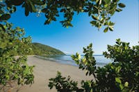 Rainfforest meets beach Daintree National Park