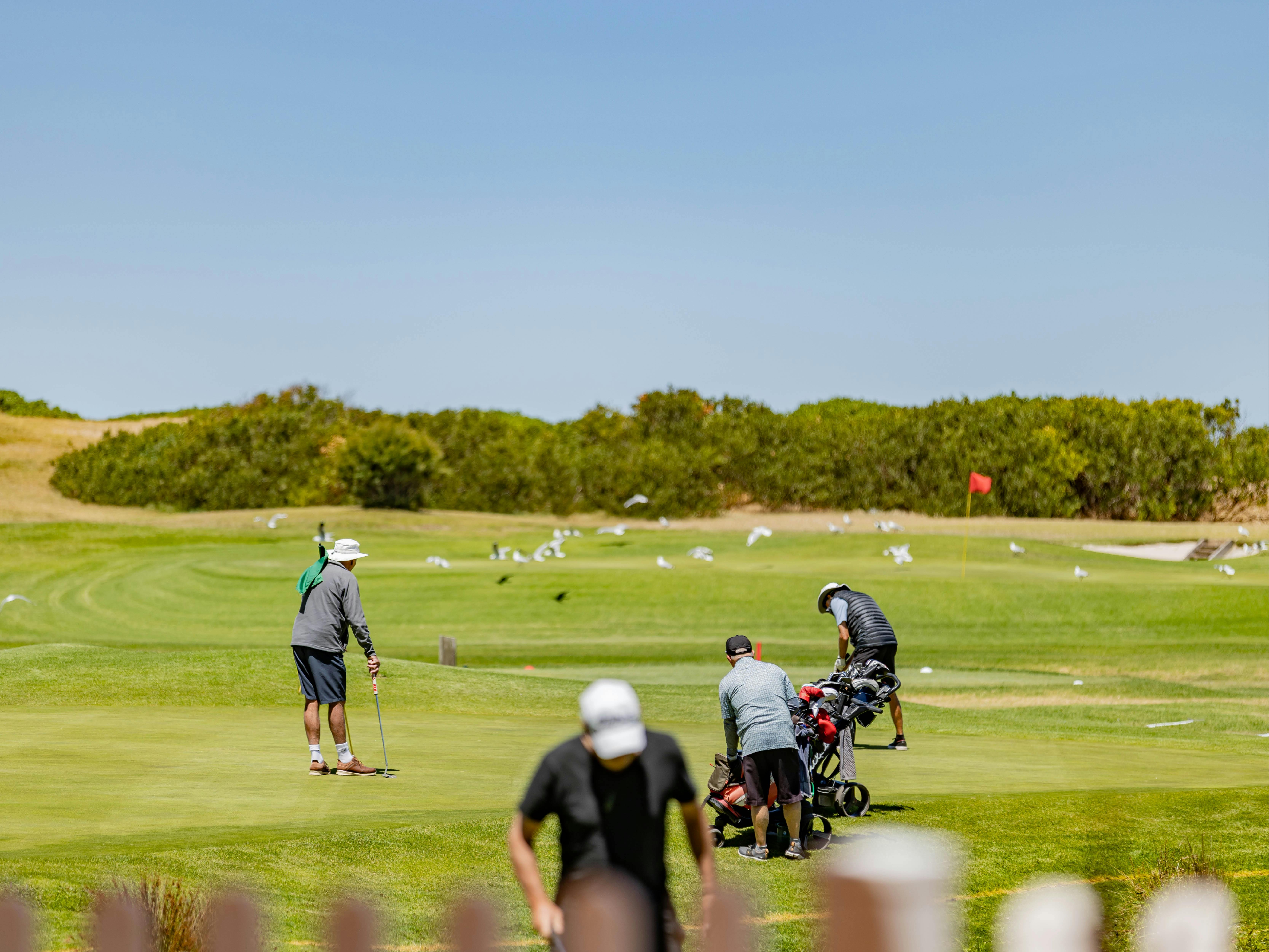 그린 위의 선수들