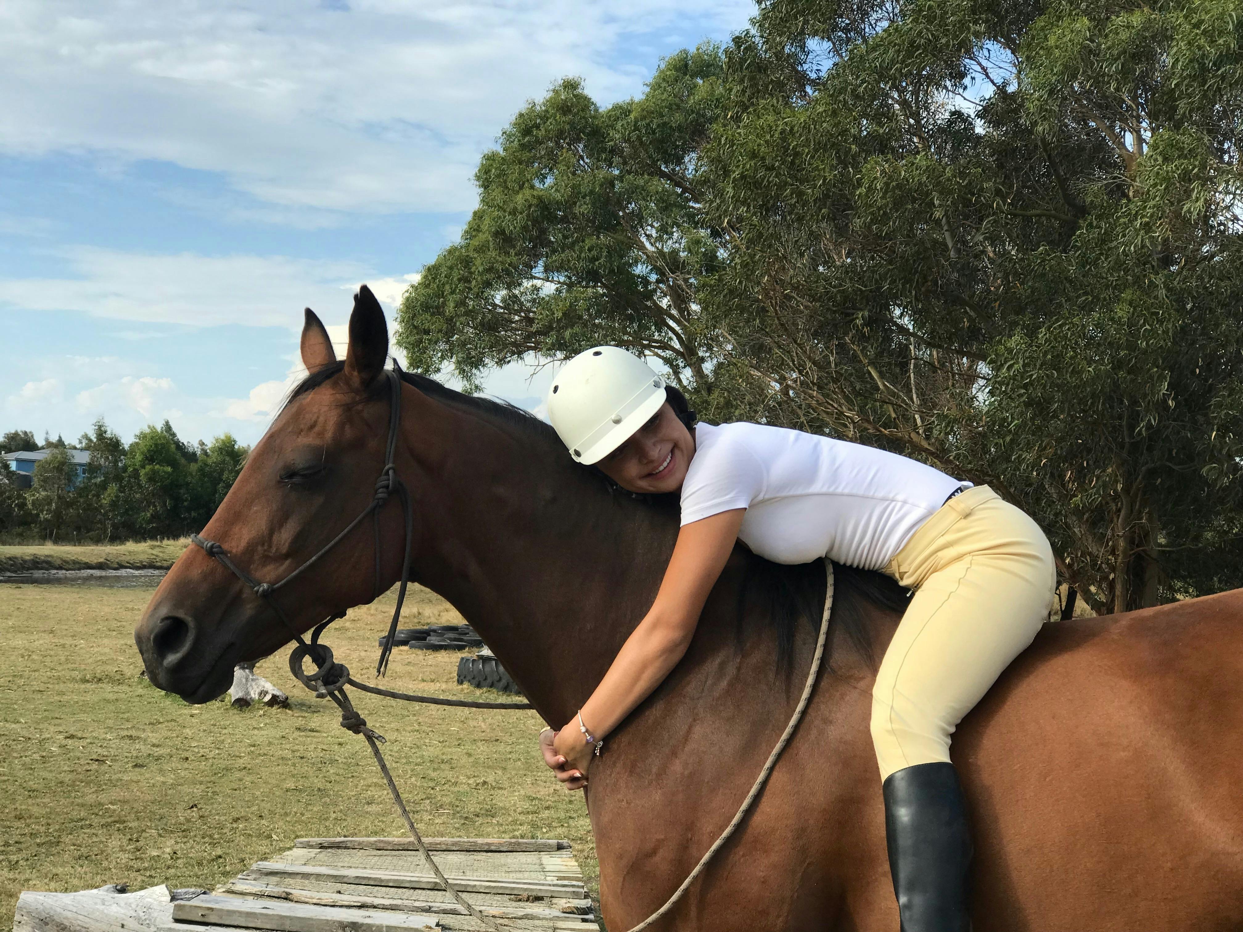 Connection with horses