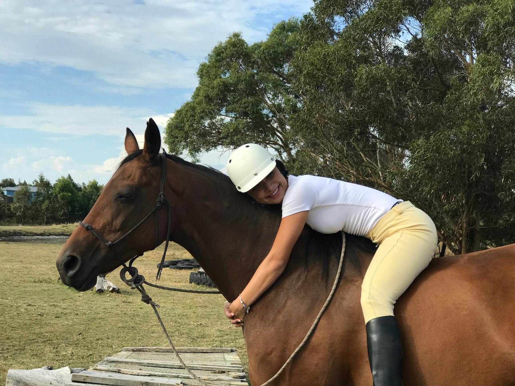 Connection with horses