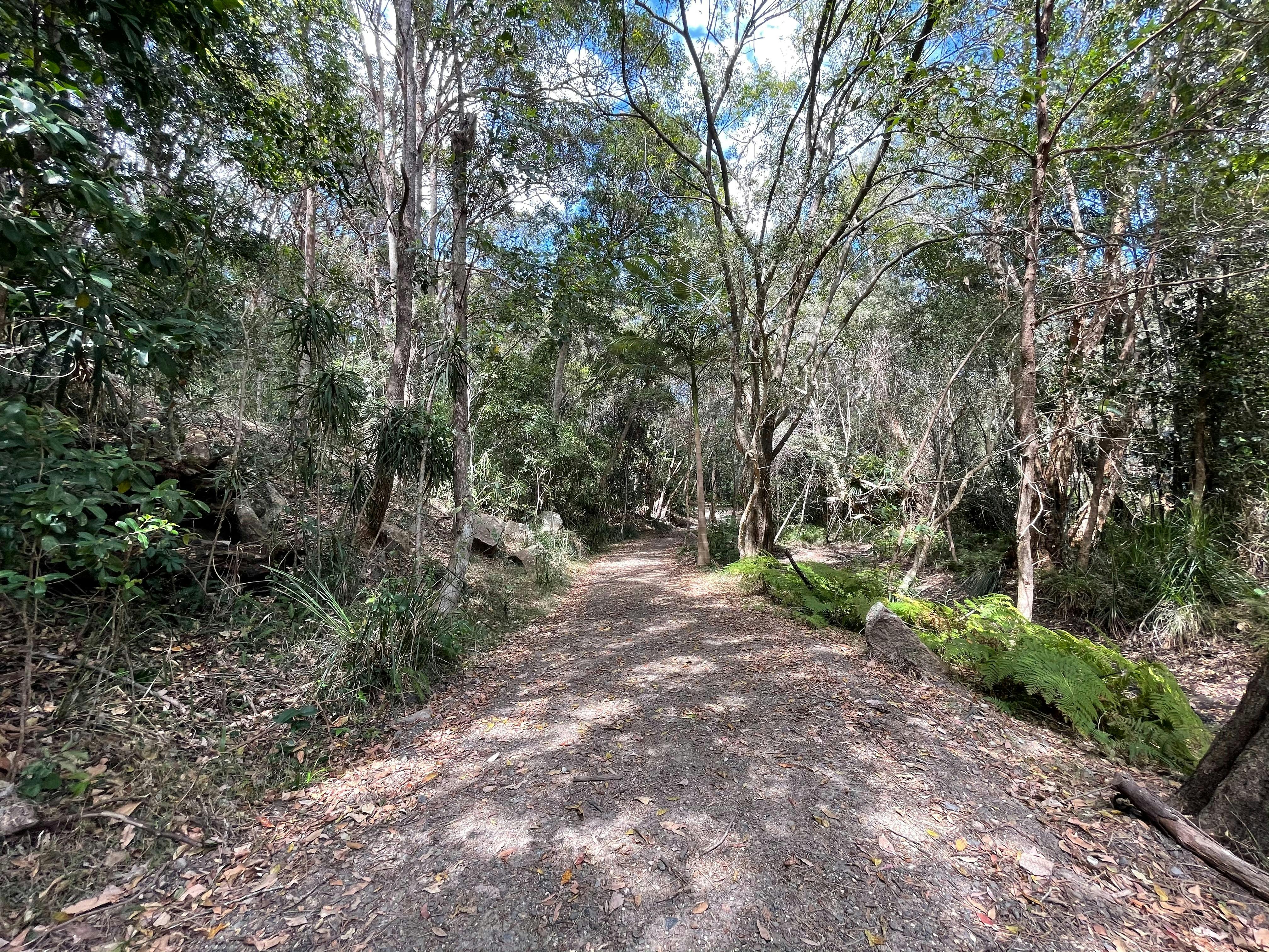 A walking track