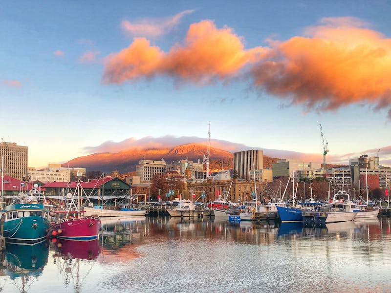 Boats moored at Hobart's Constitution Dock
