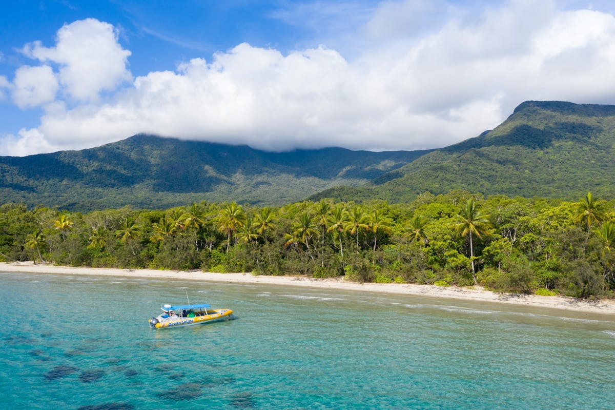 Ocean Safari