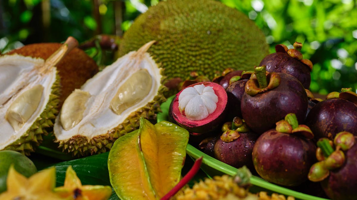 Close up of exotic fruit at Cape Trib Farm