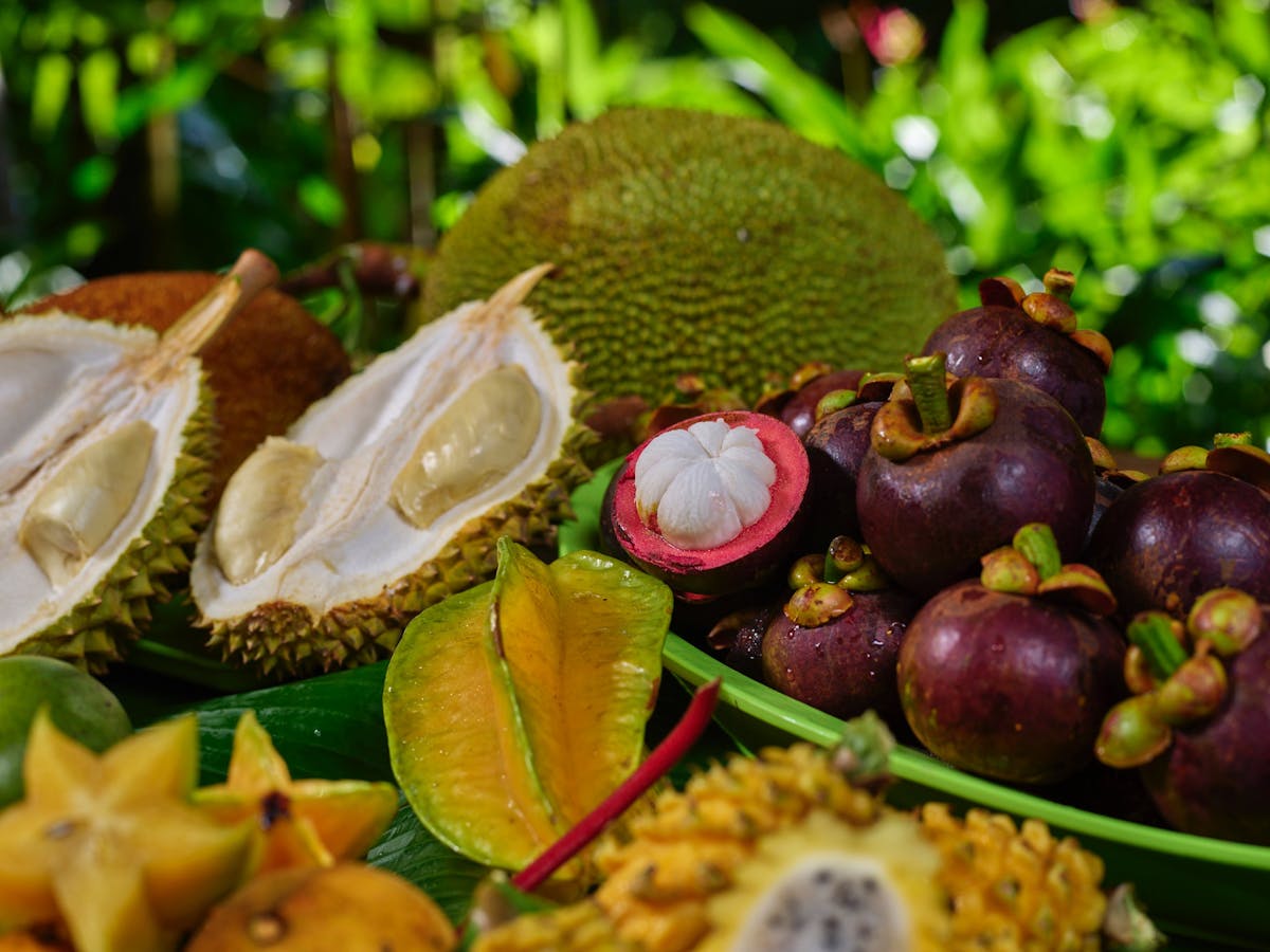 Close up of exotic fruit at Cape Trib Farm