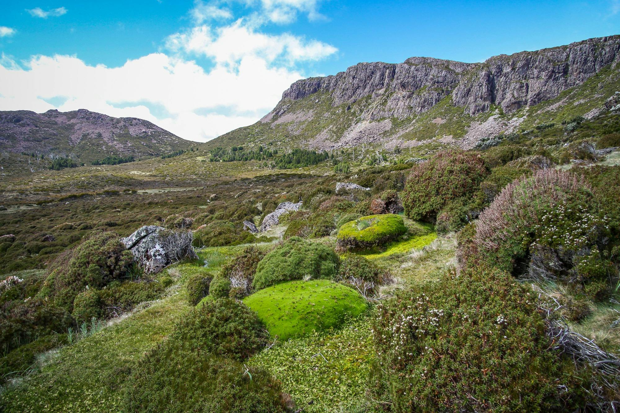 Walls of Jerusalem National Park
