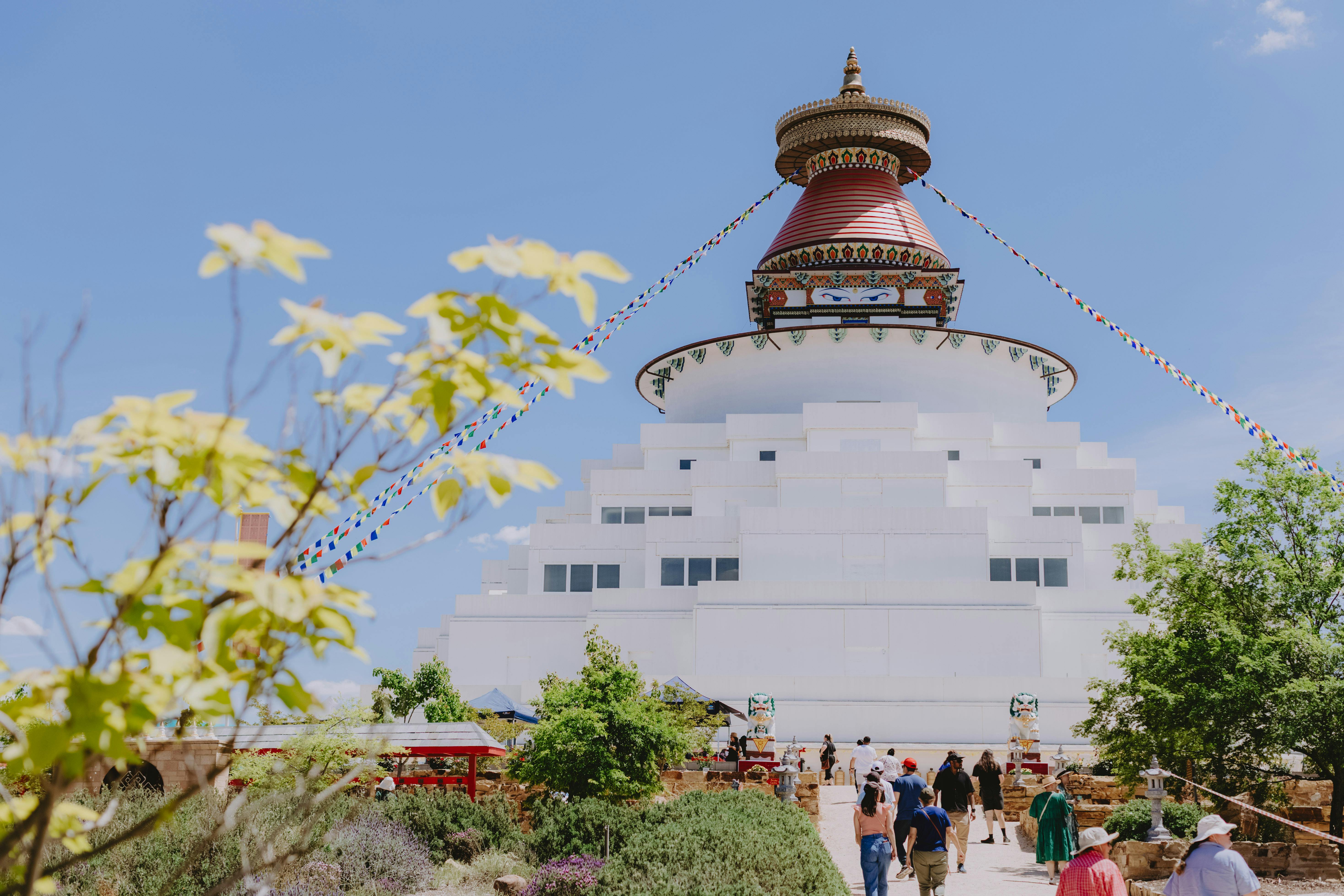 Image of stupa surrounded by blue sky with vibrant green gardens and prayer flags hanging from top