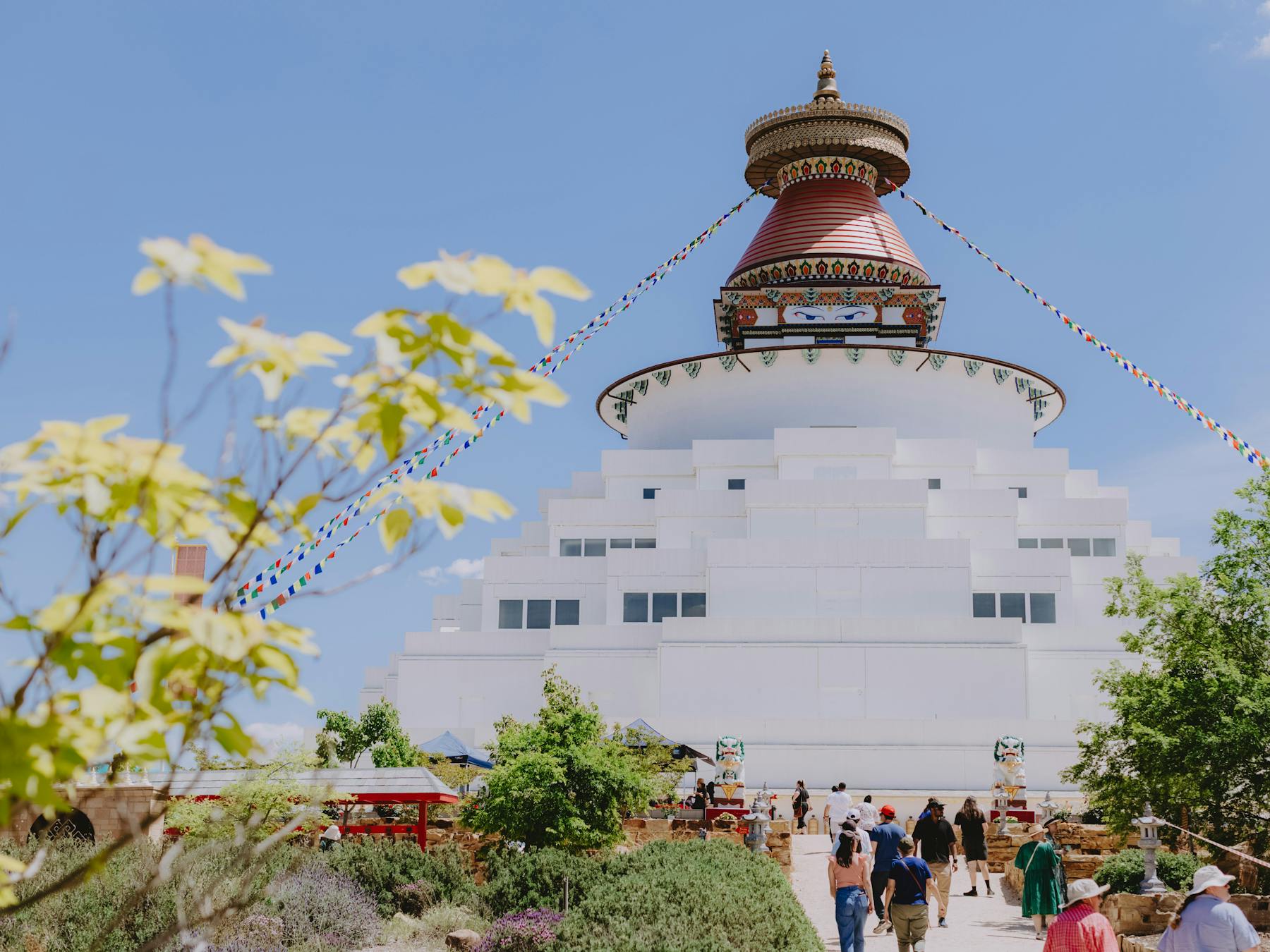 Image of stupa surrounded by blue sky with vibrant green gardens and prayer flags hanging from top