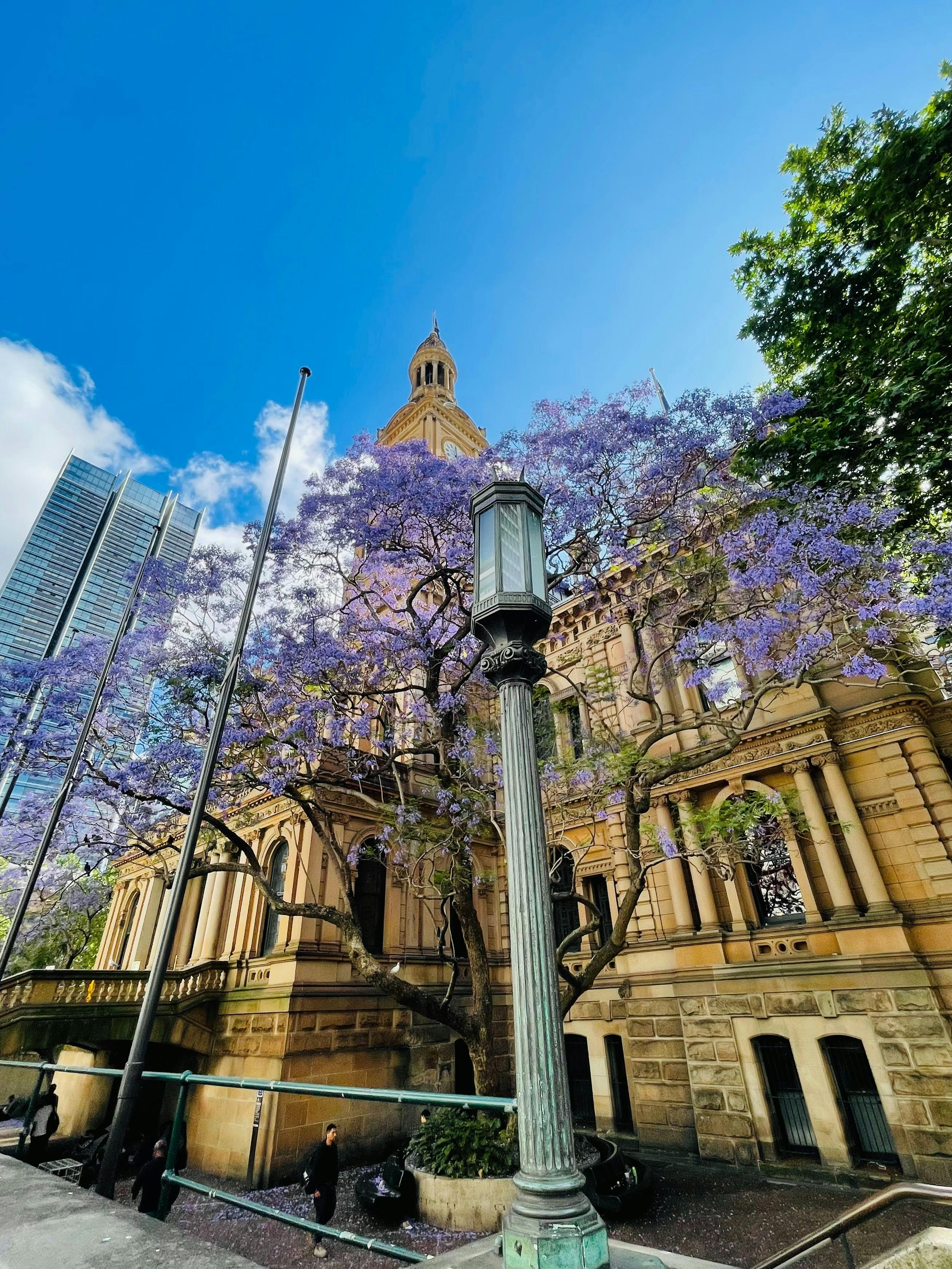 Heart of Sydney with visit of the Sydney Opera House 4 hours