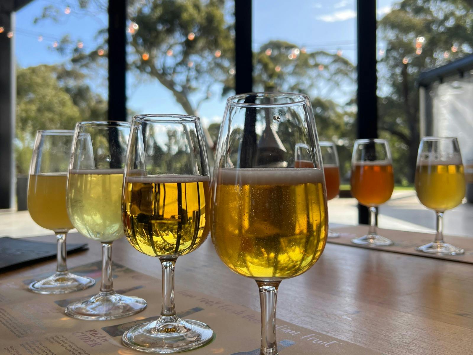 Lot 100 beer and cider flight.