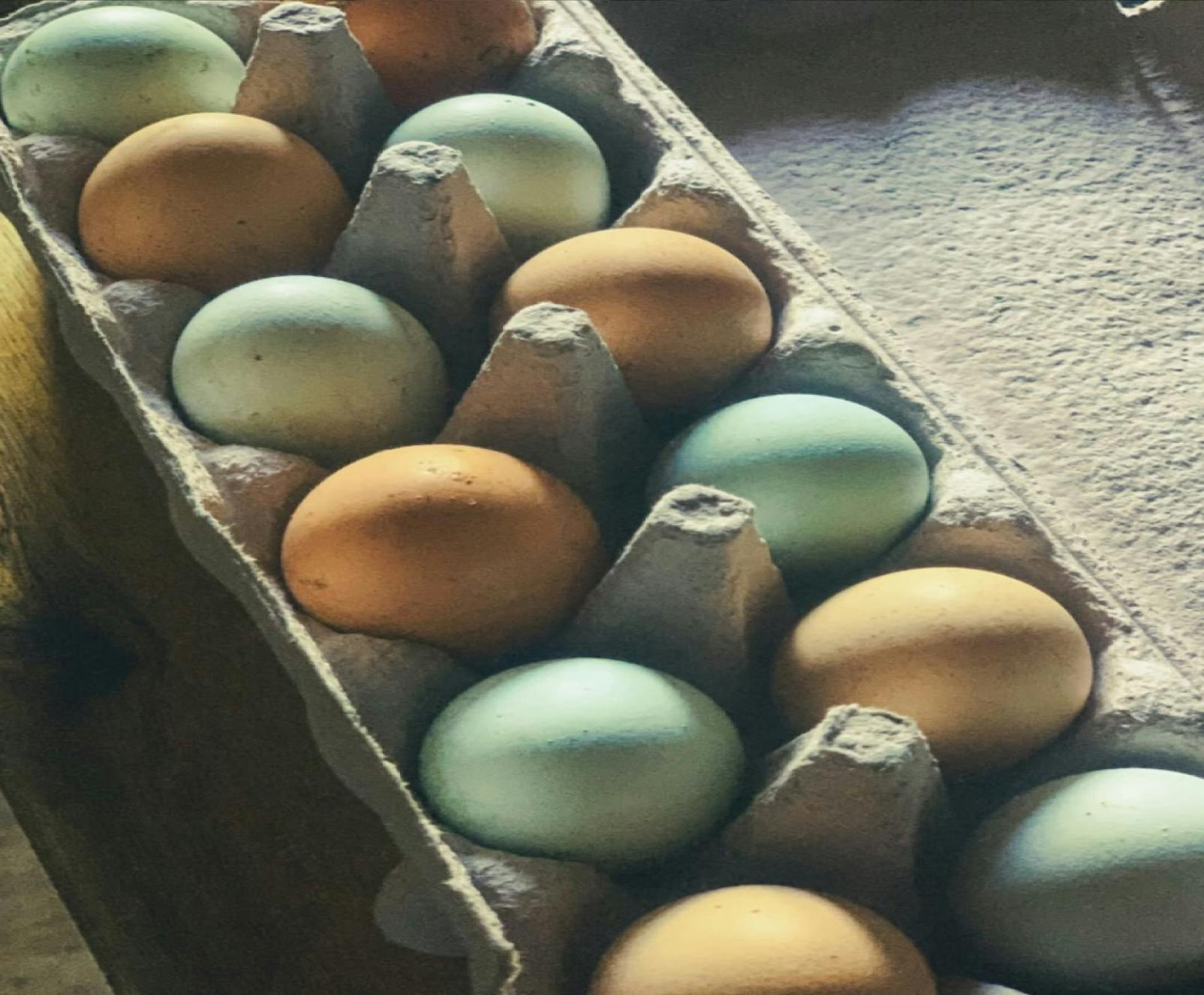 Permaculture at the Pub