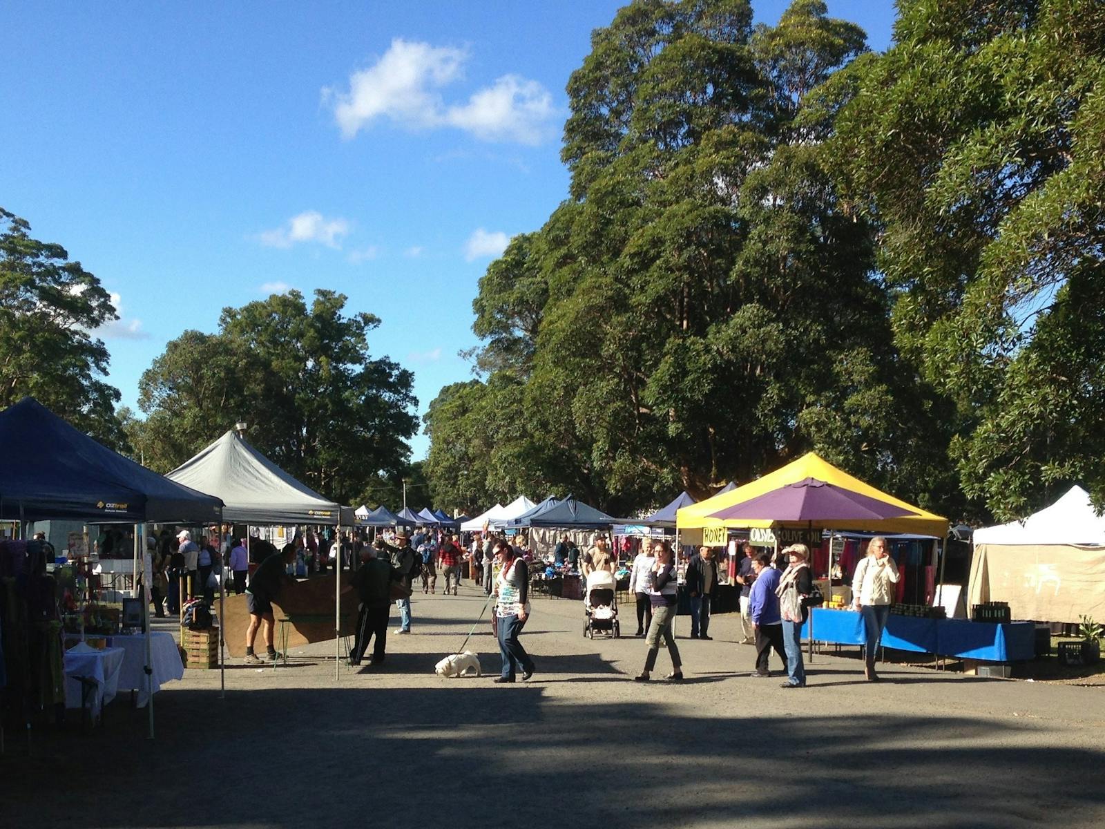 Image for The Berry Markets